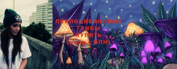 амф Медногорск