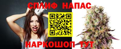 spice Кинель