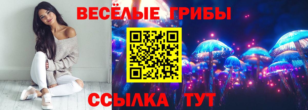 Псилоцибиновые грибы мухоморы Нарткала