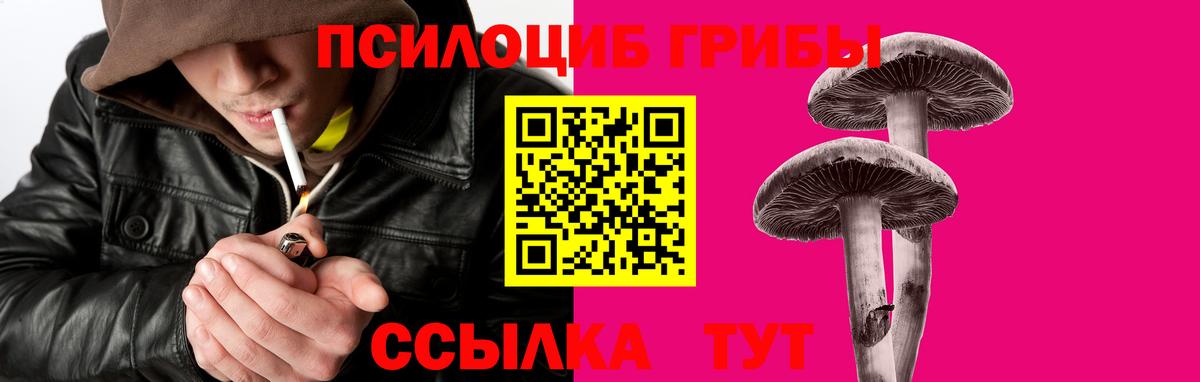 Нарткала  Псилоцибиновые грибы GOLDEN TEACHER  Вход с VPN 